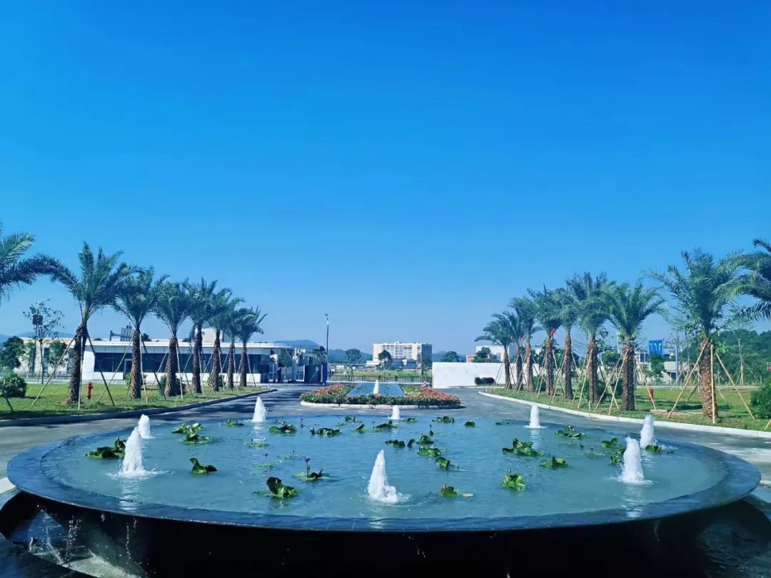 1569249177476447.jpg 640.webp (5).jpg